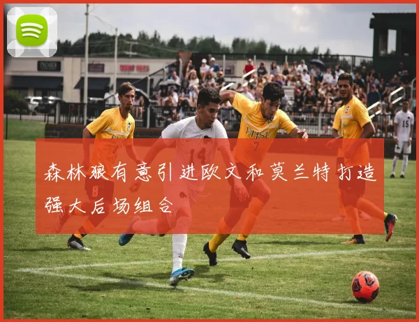森林狼有意引进欧文和莫兰特打造强大后场组合