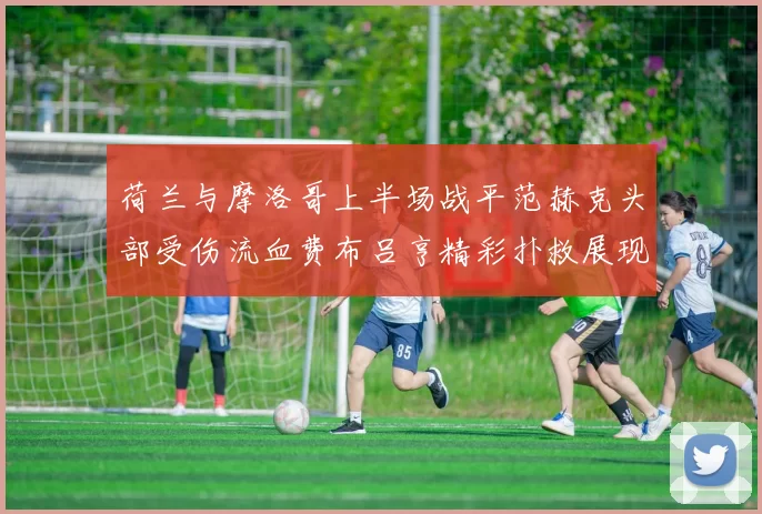 荷兰与摩洛哥上半场战平范赫克头部受伤流血费布吕亨精彩扑救展现实力